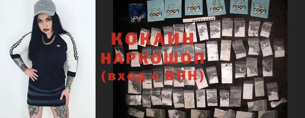 гашик Дедовск