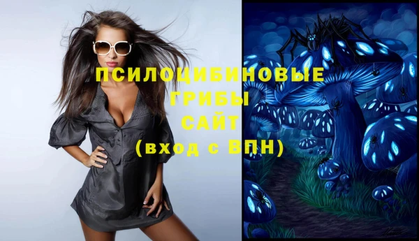 синтетический гашиш Богородск