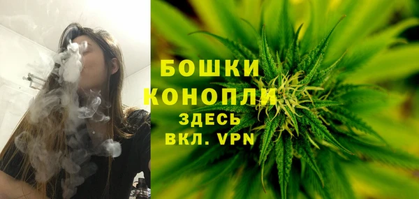 дживик Белокуриха