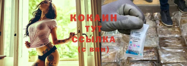 2c-b Богородицк