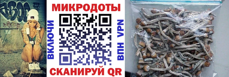 kraken ссылки  Маркс  Псилоцибиновые грибы мицелий 