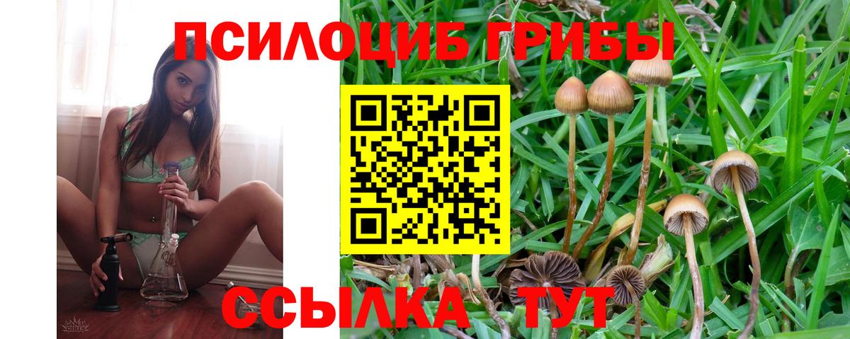 Маркс  Галлюциногенные грибы Cubensis  купить наркоту  Вход с VPN 