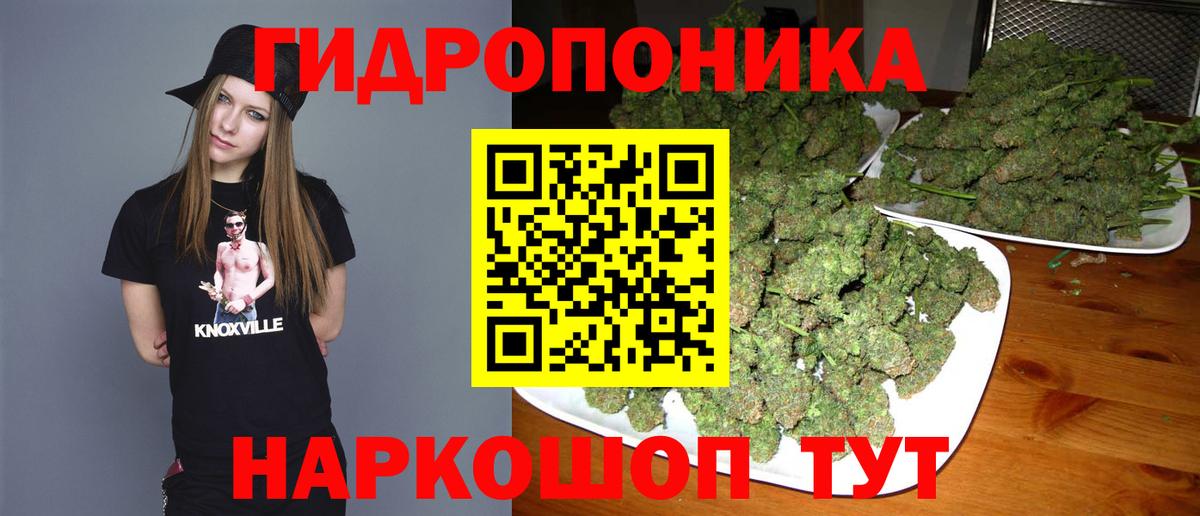 Бошки Шишки планчик Маркс